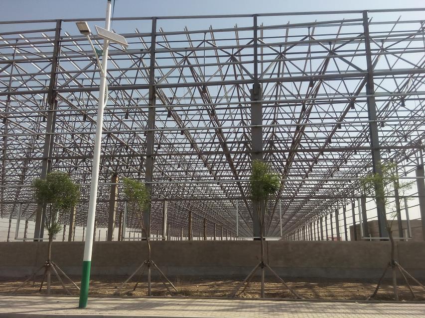 新泰汽车工业厂房网架